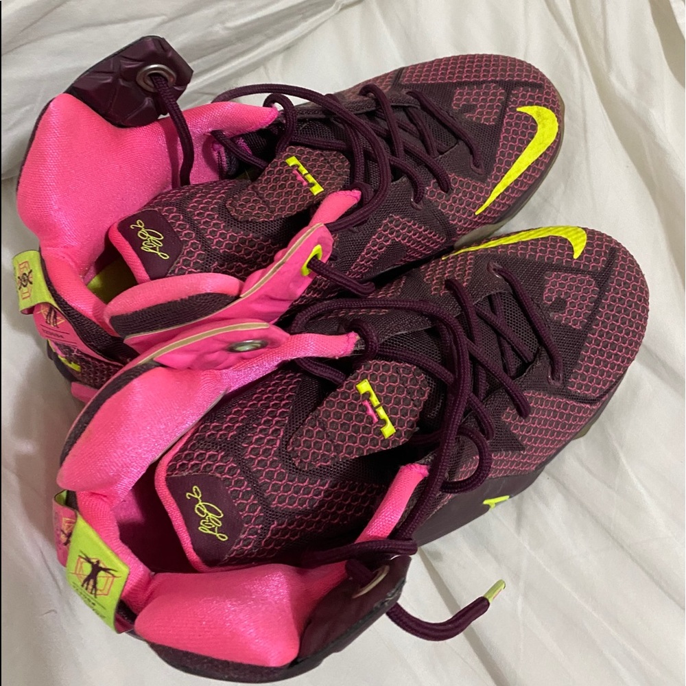 LeBron 12 “double helix”